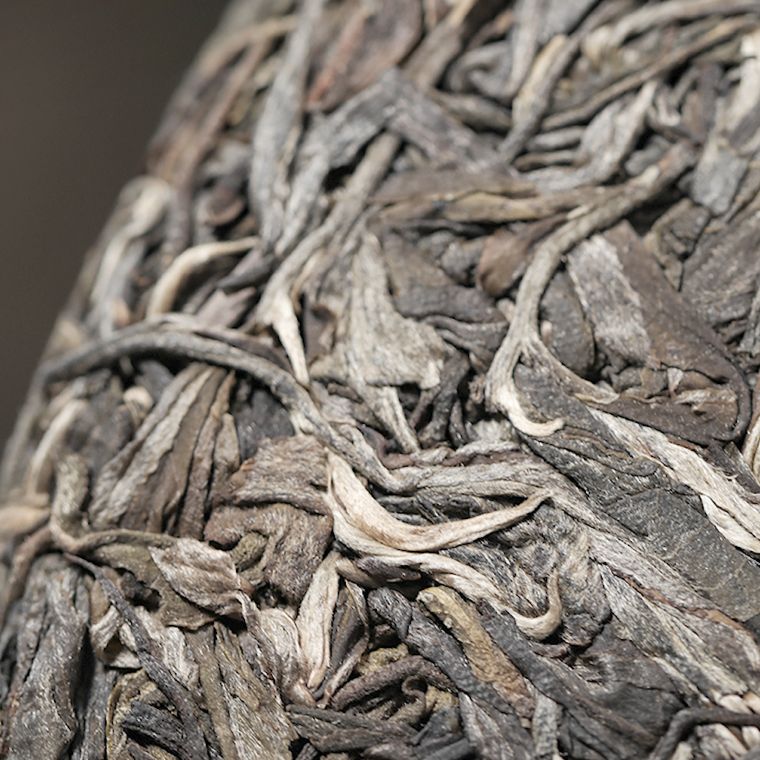 Détail des feuilles compressées de la galette Jingmai